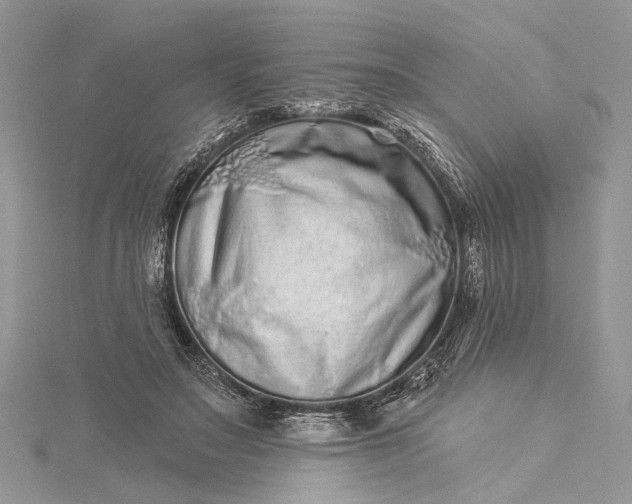 X0000115520499200911201702