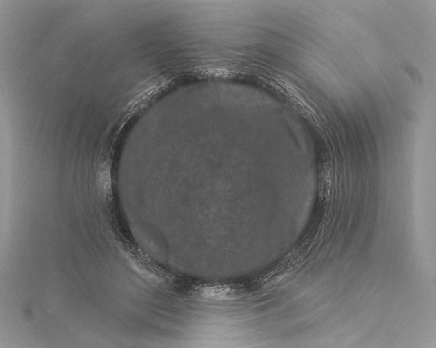 X0000115520500200911201702