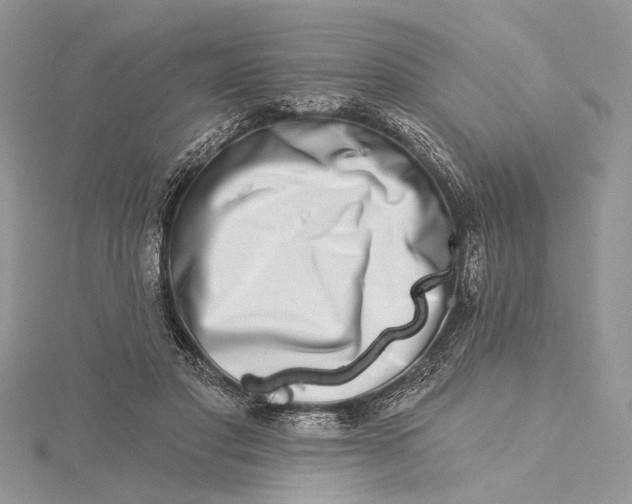 X0000115520501200911201702