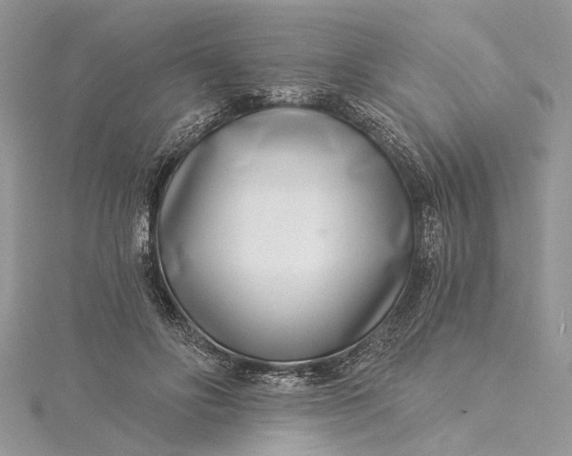 X0000115520502200911201702