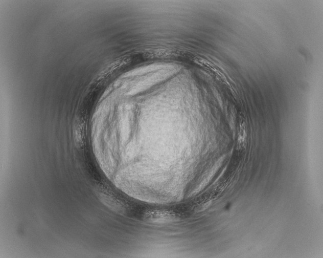 X0000115520503200911201702