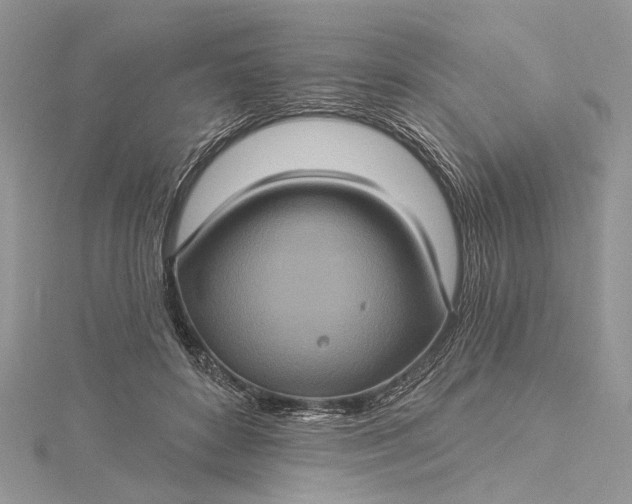 X0000115520504200911201702