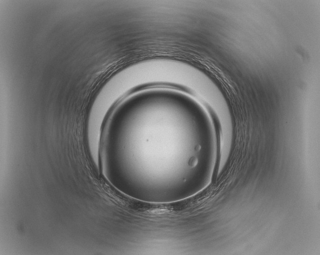 X0000115520505200911201702