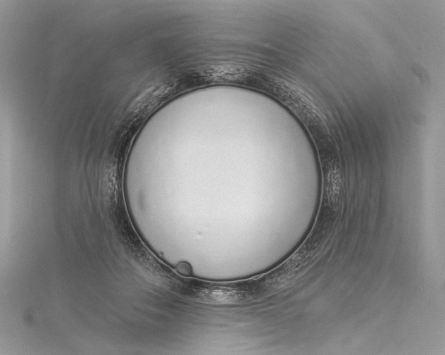 X0000115520506200911201702