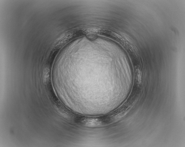 X0000115520507200911201702