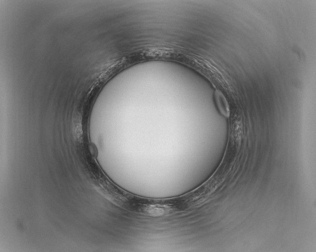 X0000115520508200911201702