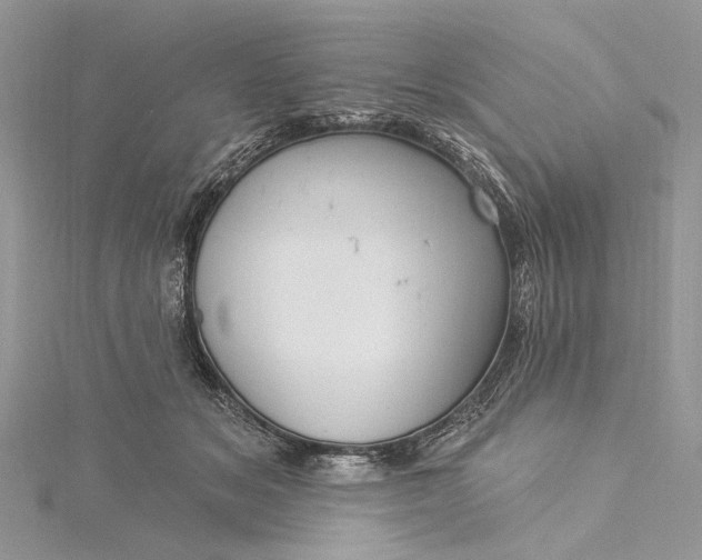 X0000115520509200911201702