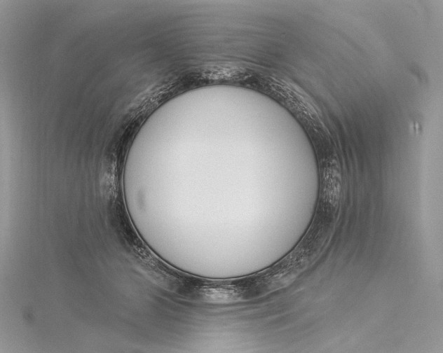 X0000115520510200911201702