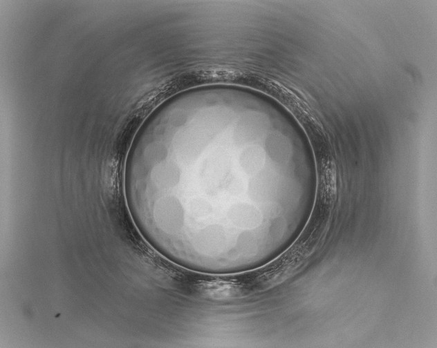 X0000115520511200911201702