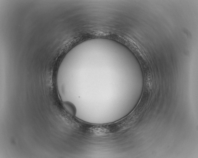 X0000115520512200911201702