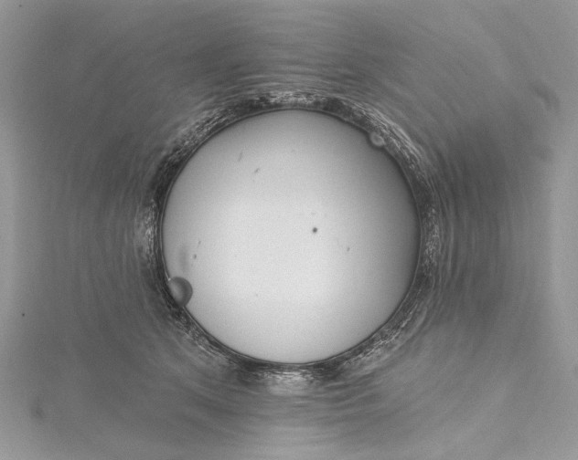 X0000115520513200911201702