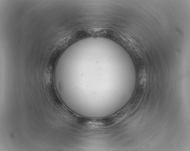 X0000115520515200911201702