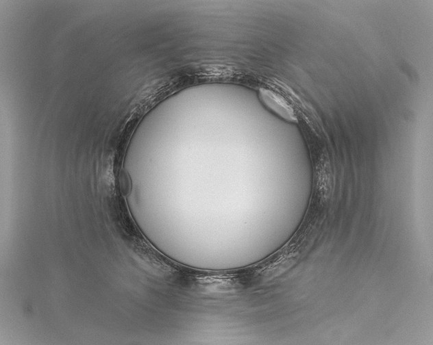 X0000115520516200911201702