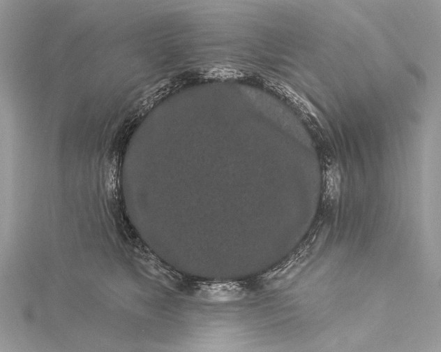 X0000115520517200911201702