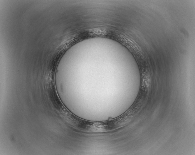 X0000115520518200911201702