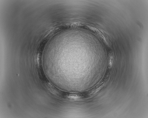 X0000115520519200911201702