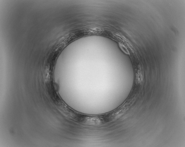 X0000115520520200911201702