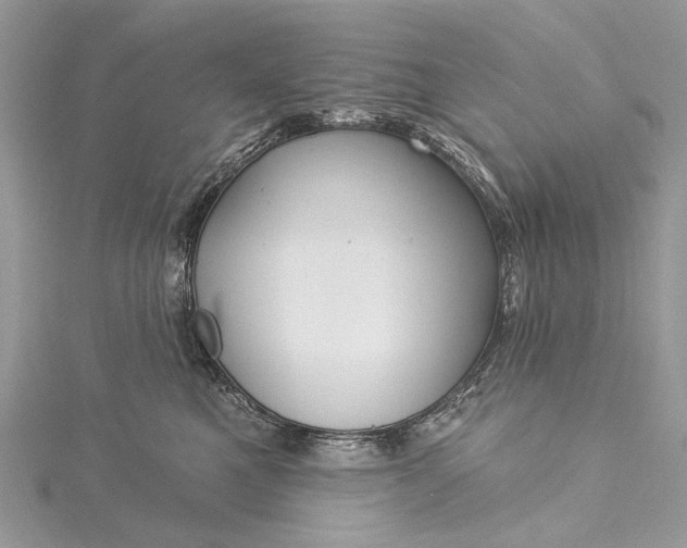 X0000115520521200911201702