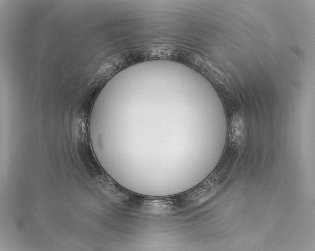 X0000115520522200911201702