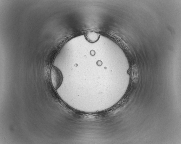 X0000115520523200911201702