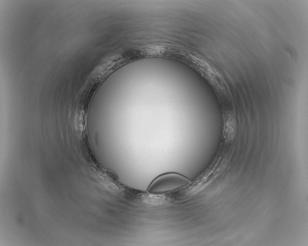 X0000115520525200911201702