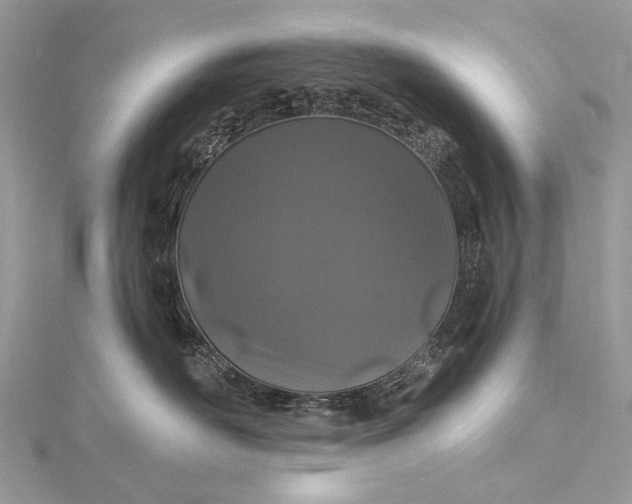 X0000115520526200911201702