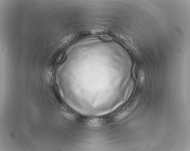 X0000115520527200911201702