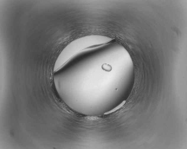 X0000115520528200911201702