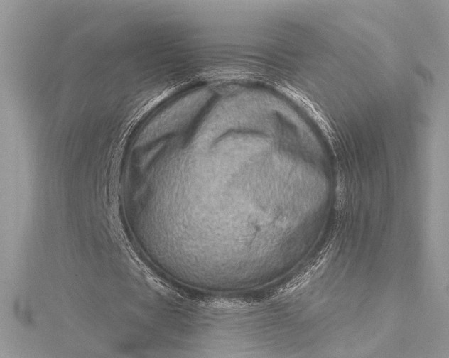 X0000115520529200911201701