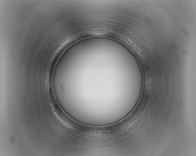 X0000115520530200911201701