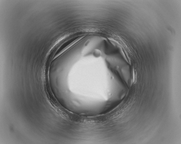 X0000115520531200911201701