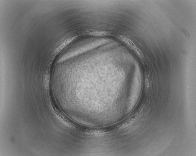 X0000115520533200911201701