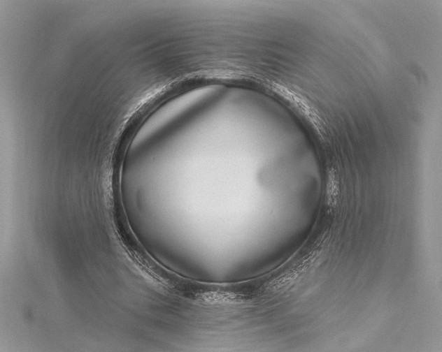 X0000115520535200911201701