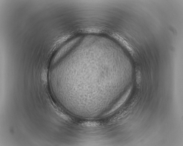 X0000115520537200911201701