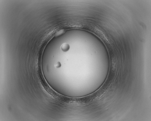 X0000115520538200911201701