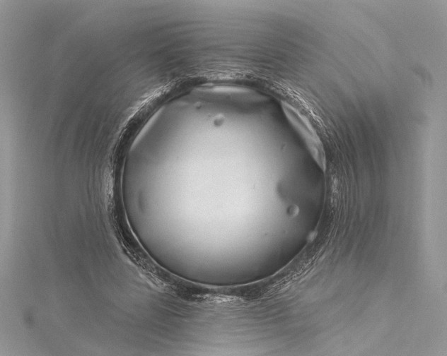 X0000115520539200911201701