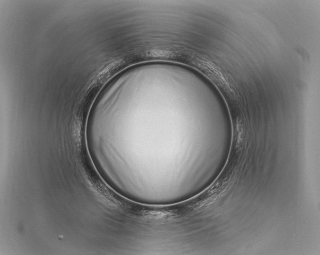 X0000115520542200911201701