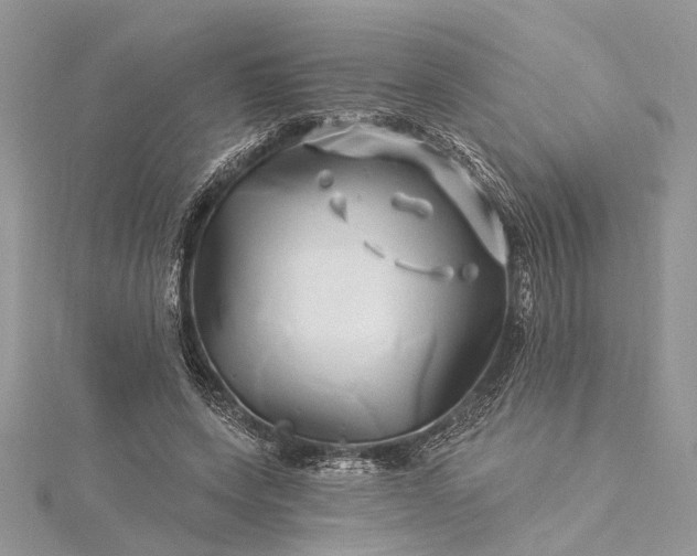 X0000115520543200911201701