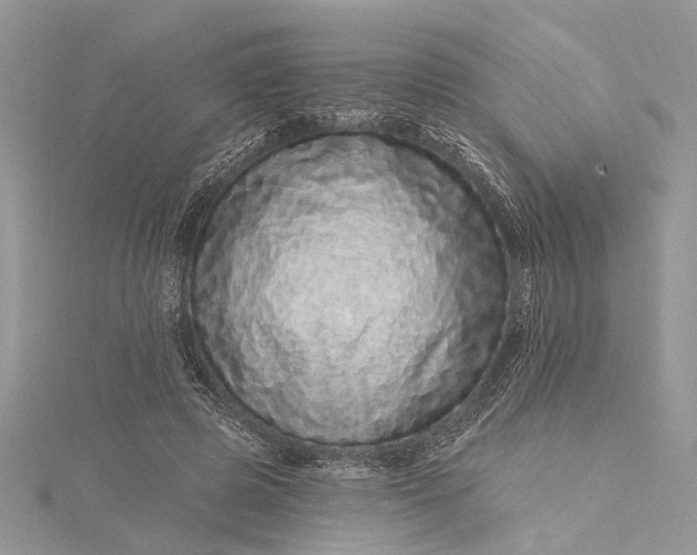 X0000115520545200911201701