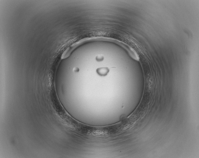 X0000115520546200911201701