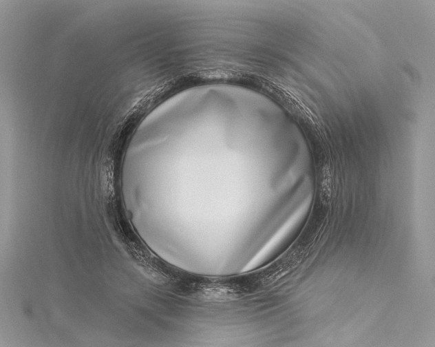 X0000115520547200911201701