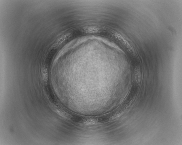 X0000115520549200911201701