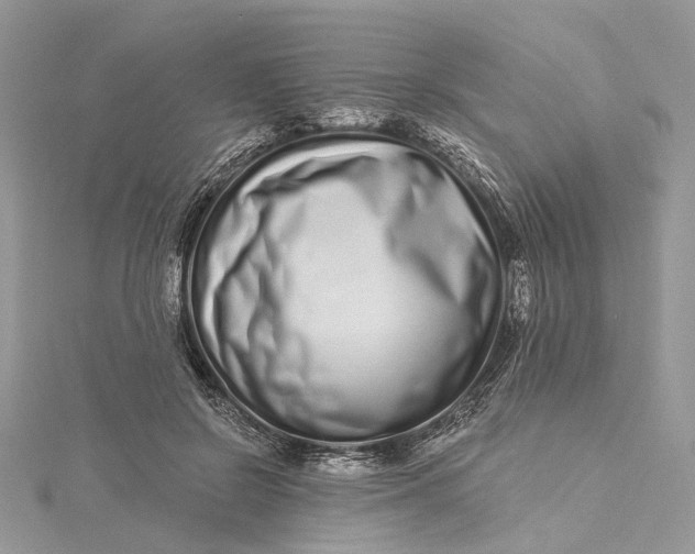 X0000115520550200911201701