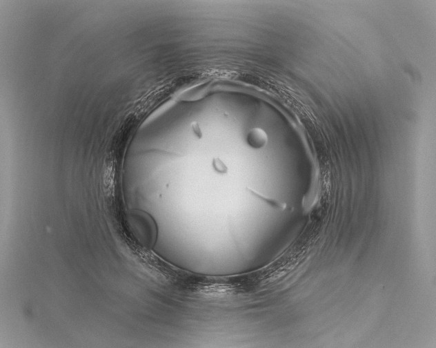 X0000115520551200911201701