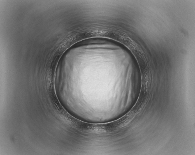 X0000115520553200911201701