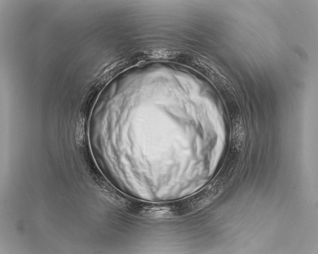 X0000115520554200911201701