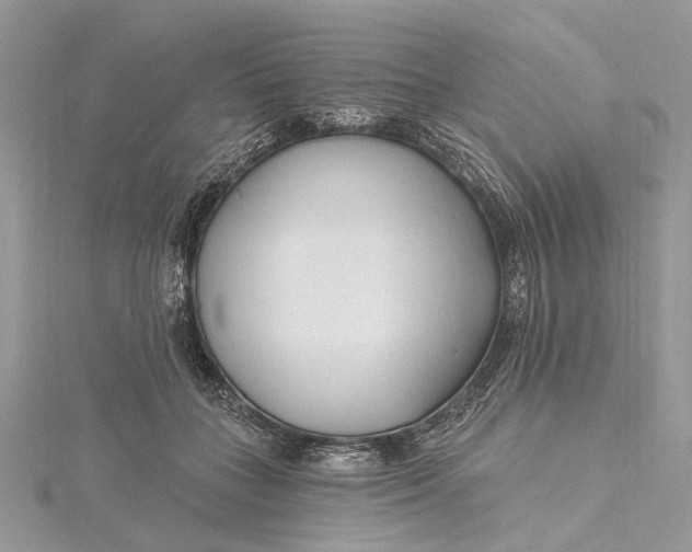 X0000115520555200911201701