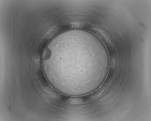 X0000115520557200911201701