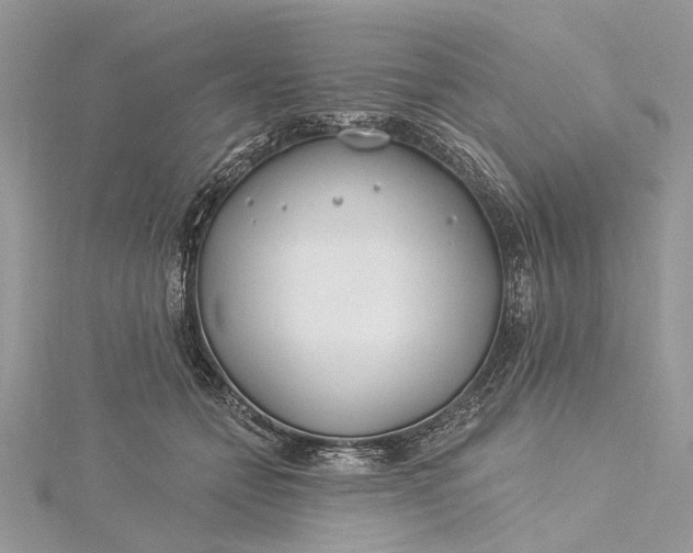 X0000115520558200911201701