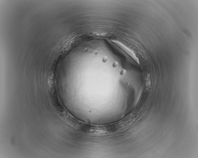 X0000115520559200911201701